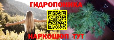 прущие крисы Жуковский
