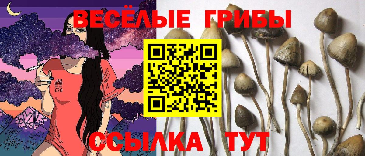 Галлюциногенные грибы GOLDEN TEACHER Лесозаводск