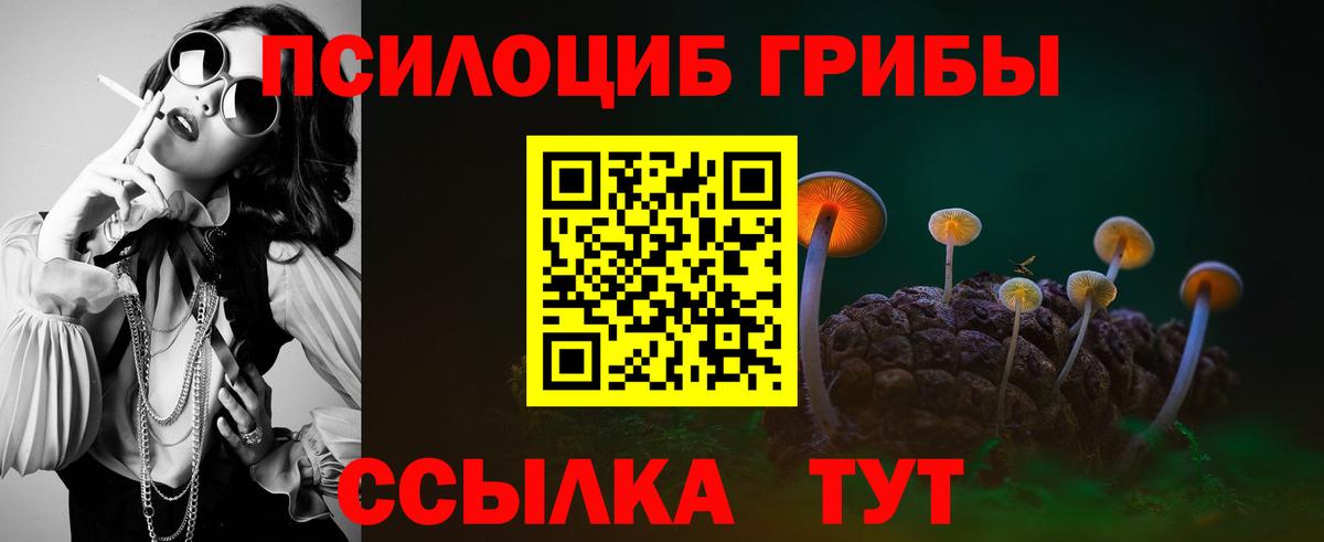 Лесозаводск  Галлюциногенные грибы прущие грибы  Вход с VPN  Псилоцибиновые грибы MAGIC MUSHROOMS 